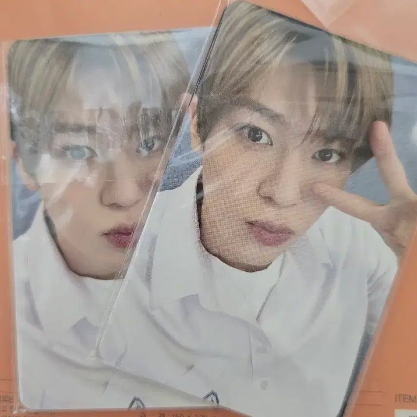 [BUNJANG] NCT WISH School of WISH Tour Entrance Photocard Sealed / 앤시티위시 스쿨오브위시 입장포카 스오위 전국투어 미개봉 양도