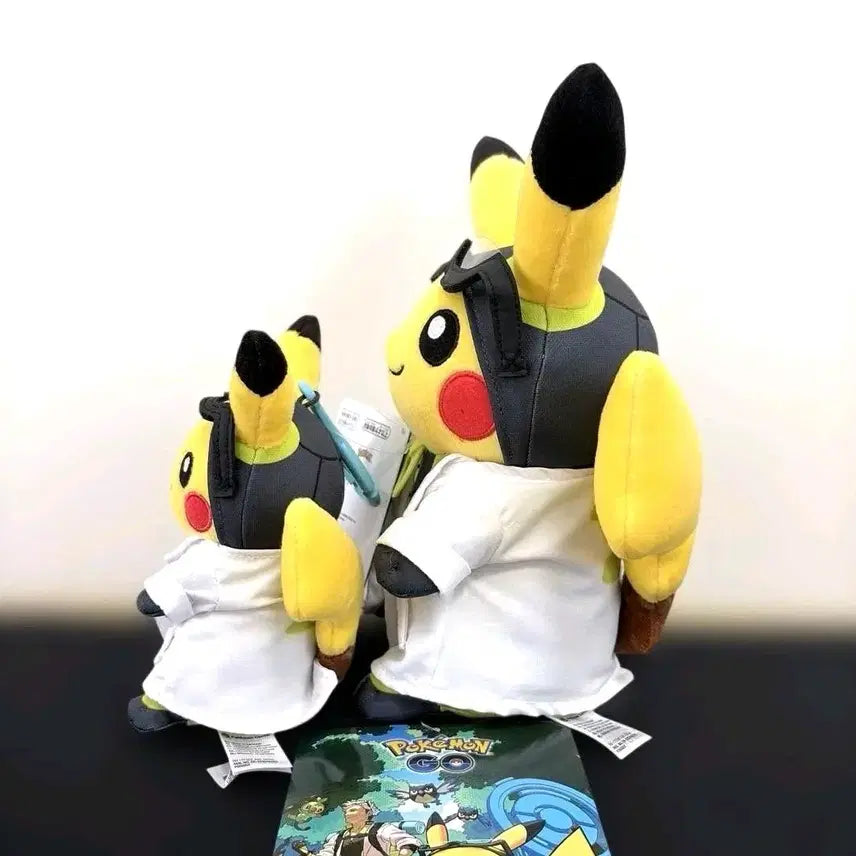 [BUNJANG] Pokemon Professor Willow&