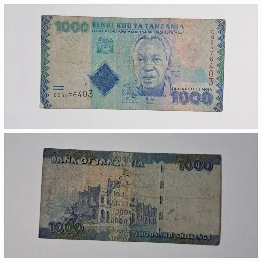 [BUNJANG] Tanzania 1000 Shilling Banknote (Used) / 탄자니아 지폐