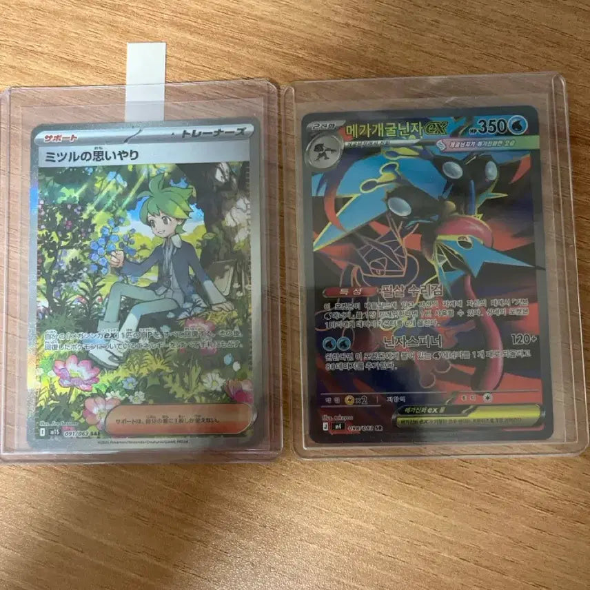 [BUNJANG] Pokémon Card "Shinji&