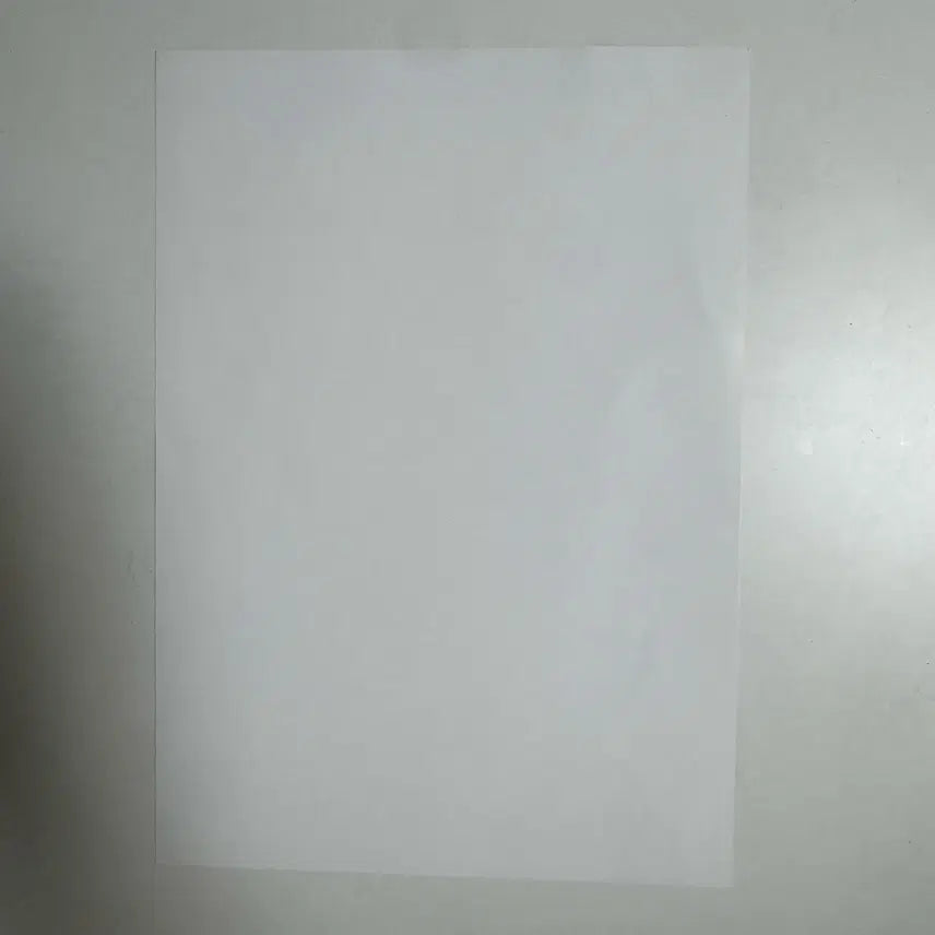 [BUNJANG] NCT WISH Yushi Songbird A4 Poster (Sigo) / 엔시티위시 유우시 송버드 생카 포스터 A4 sigo님 포스터 b
