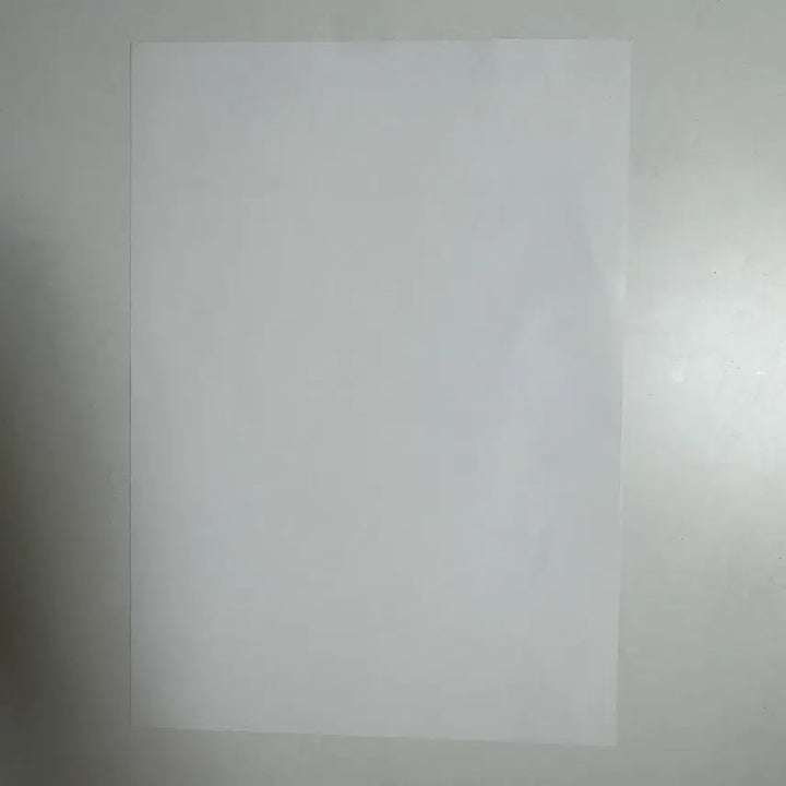 [BUNJANG] NCT WISH Yushi Songbird A4 Poster (Sigo) / 엔시티위시 유우시 송버드 생카 포스터 A4 sigo님 포스터 b