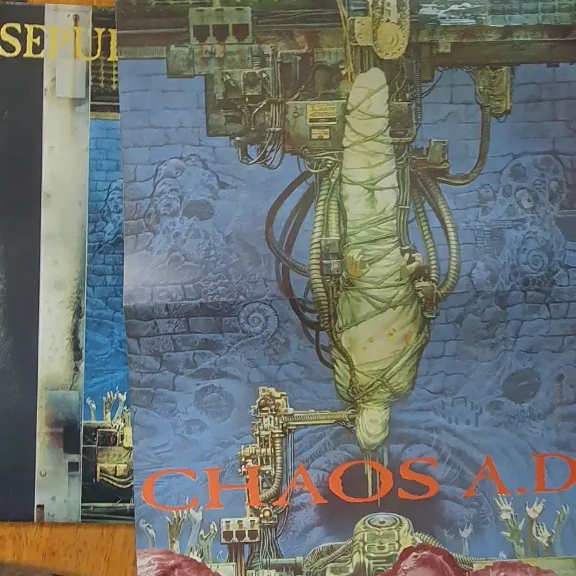 [BUNJANG] Sepultura Chaos A.D. LP NM / 메탈 세풀투라 Chaos A.D. Lp.nm