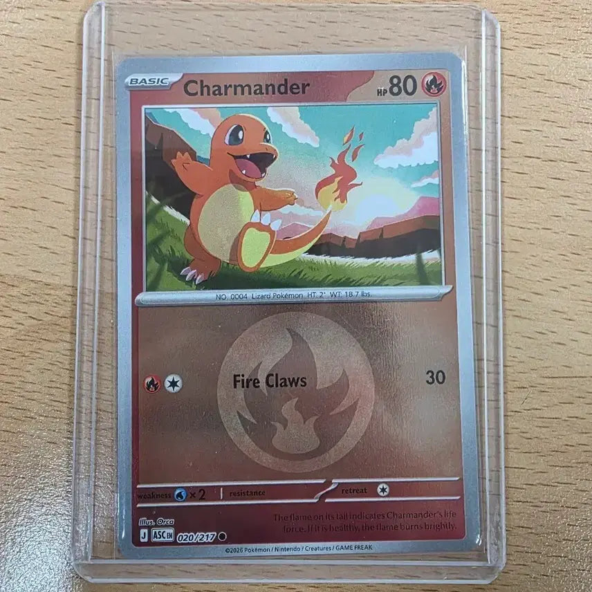 [BUNJANG] Pokemon Card Charmander Fire Energy North American Edition / 포켓몬카드 북미(파이리 불꽃에너지)