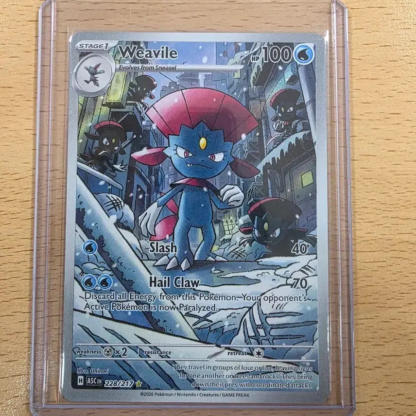 [BUNJANG] Pokemon Card North American Edition (Froslass AR) / 포켓몬카드 북미(포푸니라 AR)