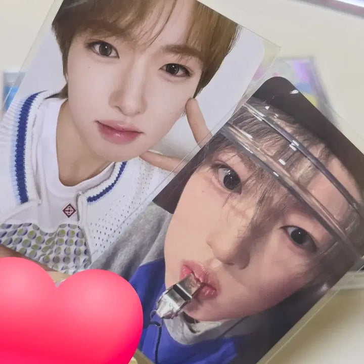 [BUNJANG] NCT WISH Sakuya Yoichidong Group Version Sealed CD Bundle Set / 엔시티위시 사쿠야 일본 요이동 단체반 양도 (무모샵 특전포함)