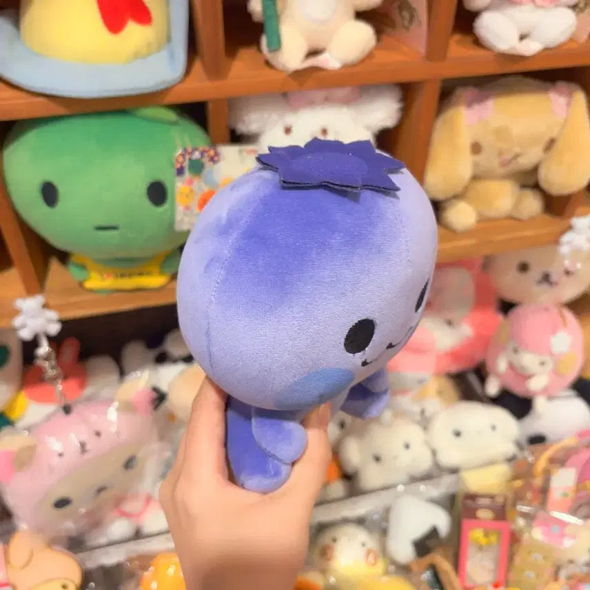[BUNJANG] Sanc-X Mikangbowya Blueberry Plush / 고전 산엑스 미캉보우야 블루베리 인형