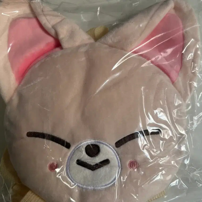 [BUNJANG] Stray Kids Japan Fanmeeting Toy World Skzoo Bag Backpack (Sealed) / 미개봉/원가) 스트레이키즈 일본 팬미팅 토이월드 스키주 가방 백팩