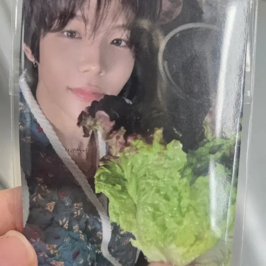 [BUNJANG] RIIZE Melon Musicwave Special Photocard Bundle Set / 라이즈 멜론 뮤직웨이브 채팅 이벤트 스페셜 포토카드 일괄판매