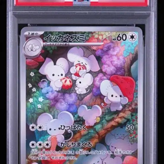 [BUNJANG] Familié PSA 10 Graded Card / 일판 파밀리쥐 psa10