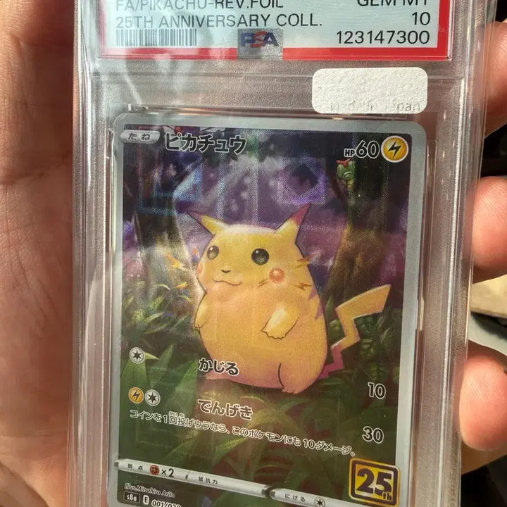 [BUNJANG] Pokemon Japan 25th Anniversary Pikachu PSA 10 Hologram Card / 2021 포켓몬 재팬 25주년 일판 피카츄 PSA 10 뚱까츄