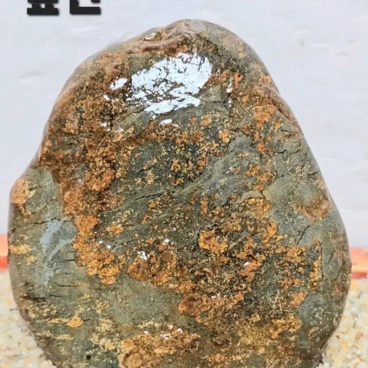 [BUNJANG] Pyeongchanggang Natural Flower Stone / 꽃돌 평창강 자연석 꽃돌 수석