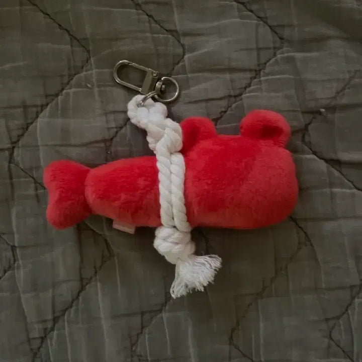 [BUNJANG] RIIZE Actor x Guardian Keychain Riize Version / 라이즈riize 액막이 키링 앙콘 md 리즈코버전