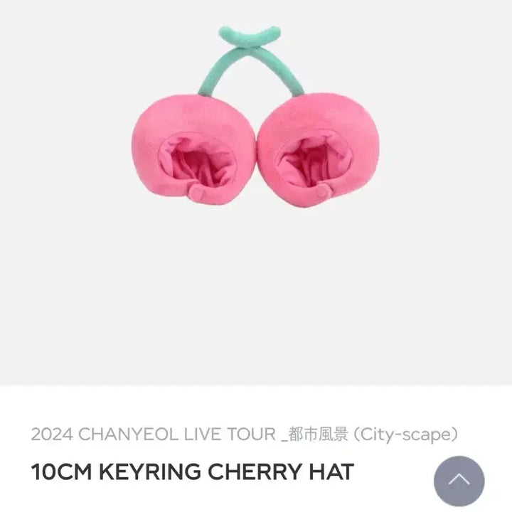 [BUNJANG] EXO Chanyeol 10CM Cherry Hat Keyring / 찬열 10CM KEYRING CHERRY HAT