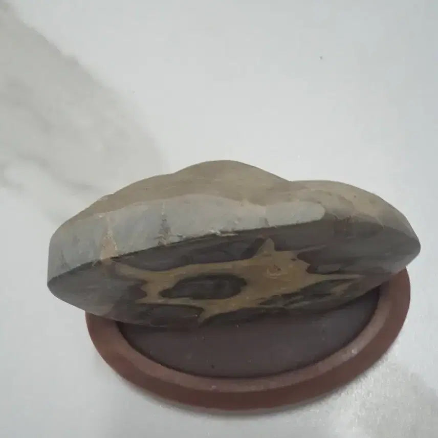 [BUNJANG] Septarian Nodule Dragon Stone / 수석- 귀갑석