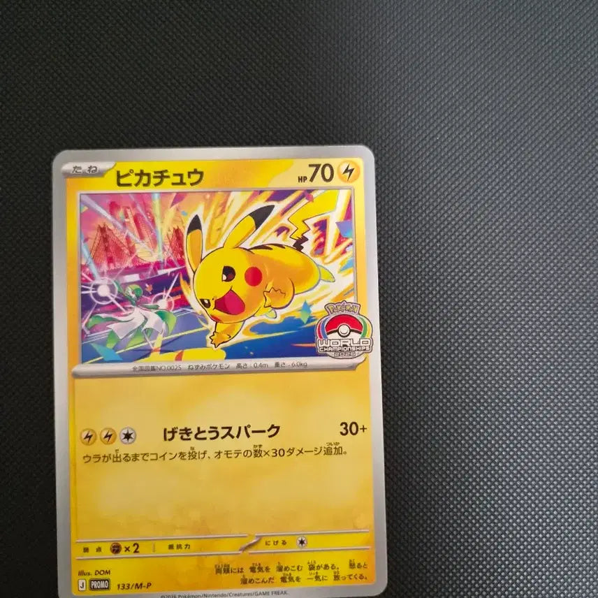 [BUNJANG] Pikachu World Championship Promo / 피카츄 월드챔피언쉽 프로모 월챔츄