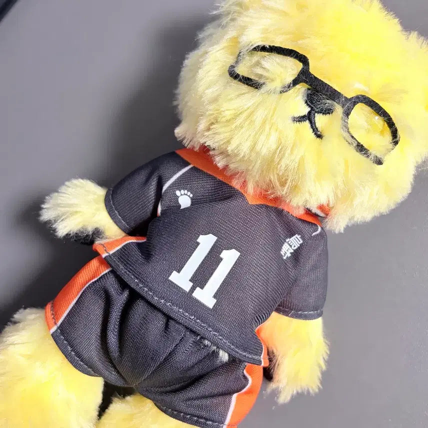 [BUNJANG] Haikyuu!! Tsukishima Kei Image Bear Plush / 하이큐 츠키시마 이미지베어 누이 곰 인형