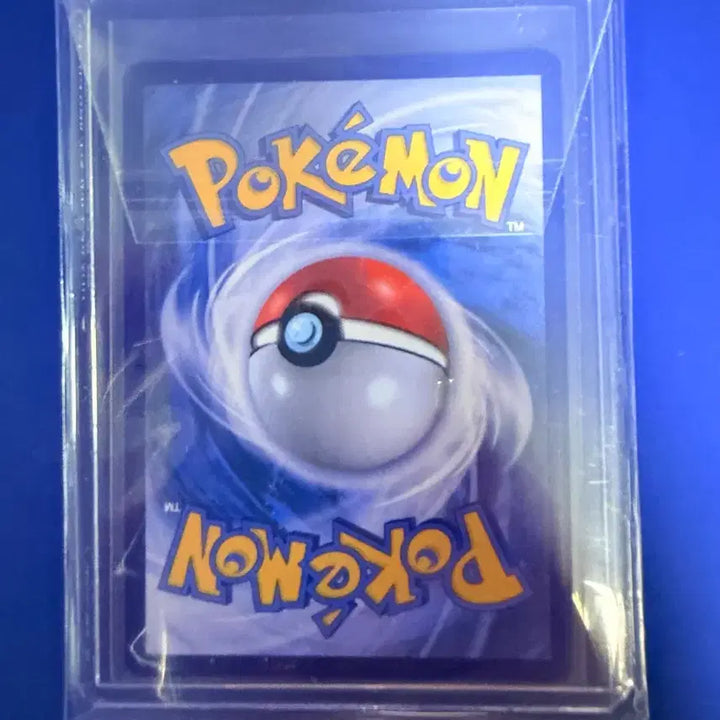 [BUNJANG] Pokemon Card Lillie &amp; Ribombee AR Card / 포켓몬카드 릴리에 에리본 AR 카드