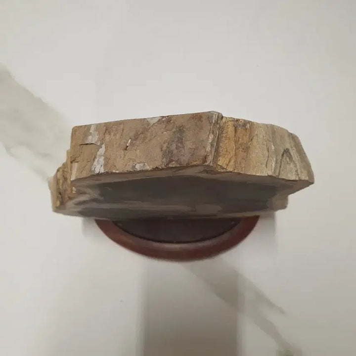 [BUNJANG] Petrified Wood Fossil with Stand / 수석- 규화목