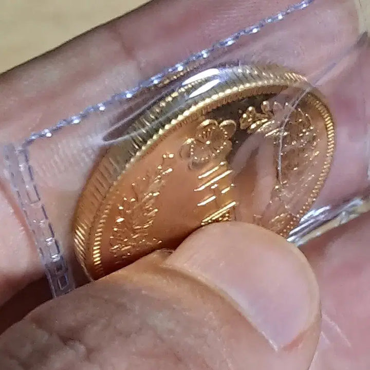 [BUNJANG] Assorted Foreign Coins and Banknotes / U163 외국동전 은화 금화 고전주화 중국동전 해외동전 엽전 별전 지폐