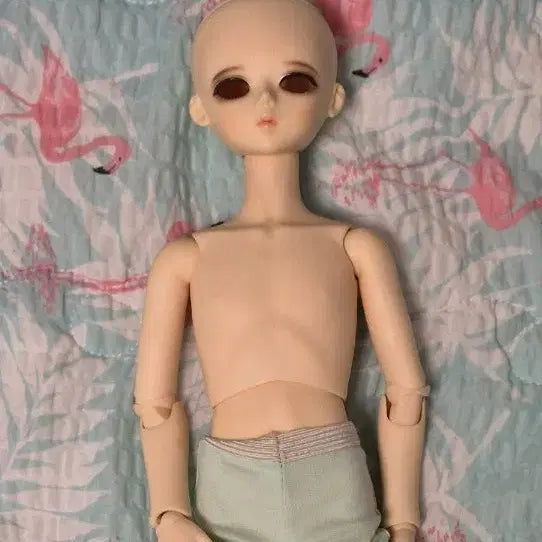 [BUNJANG] Blue Fairy Glass Type Doll Head (7-Month Discount) / 블루페어리 유리판매 (7월말까지 이가격)