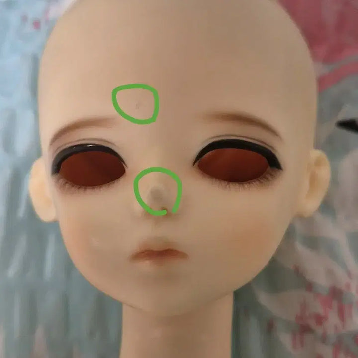 [BUNJANG] Blue Fairy Glass Type Doll Head (7-Month Discount) / 블루페어리 유리판매 (7월말까지 이가격)