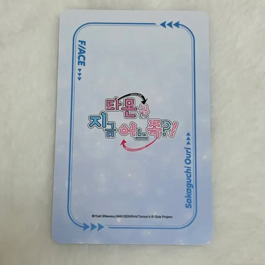 [BUNJANG] Tamone-gun Popable Badge Bundle Set / 타몬군 지금 어느 쪽 팝업 팝퍼블 뱃지 포토카드 오우리 일괄