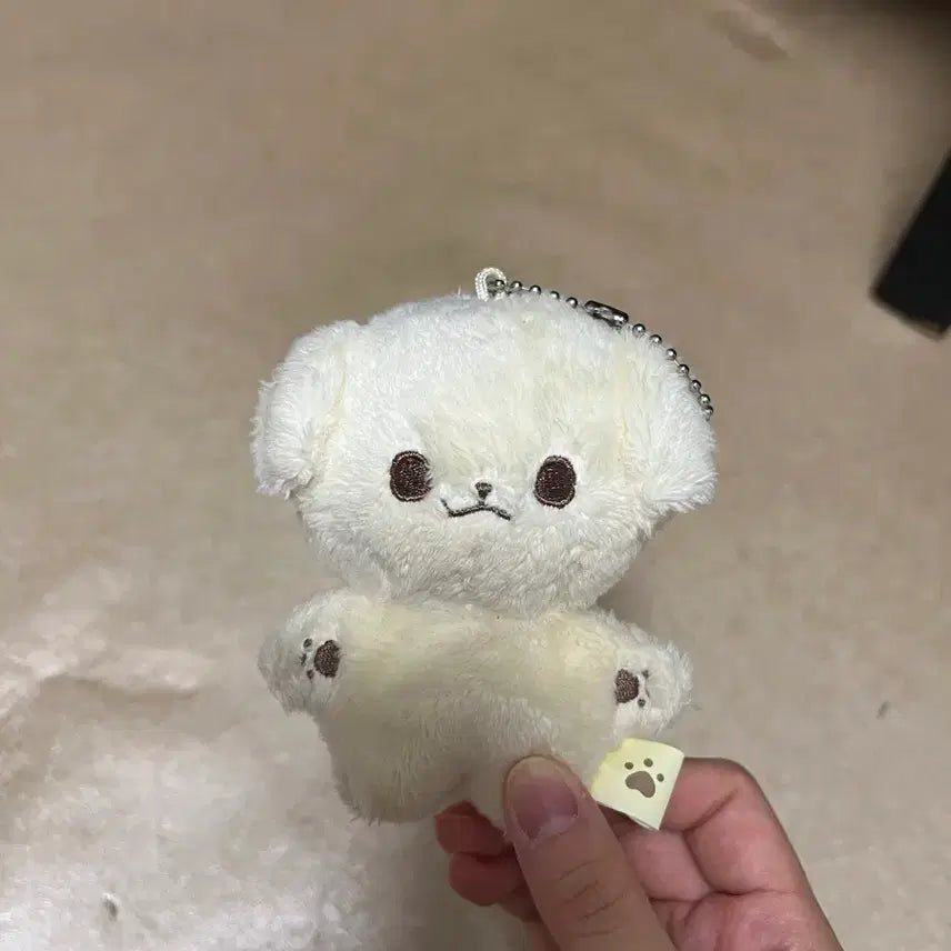 [BUNJANG] Jeno Doll / (급처) 제노 인형