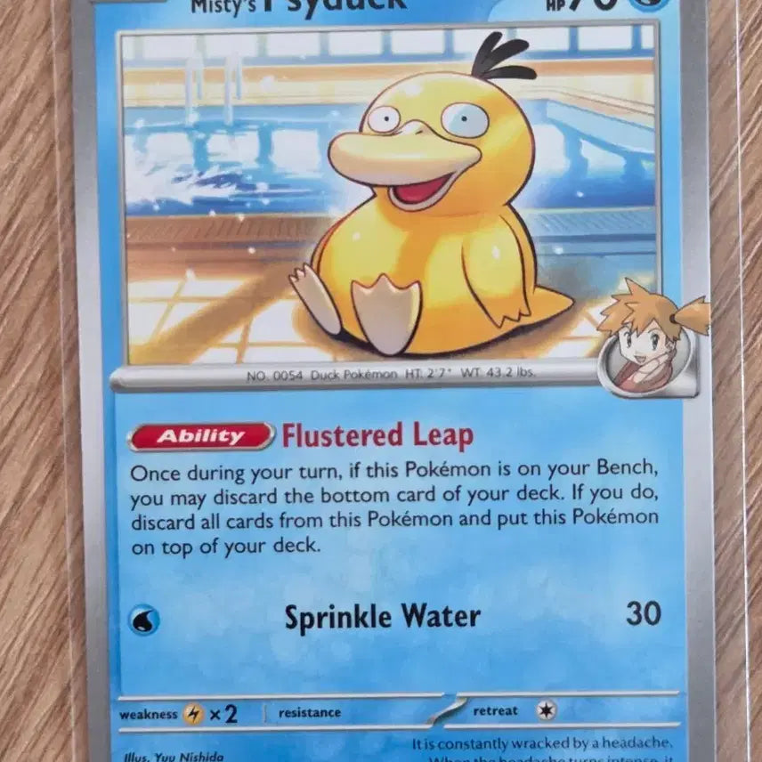 [BUNJANG] Pokemon Misty&