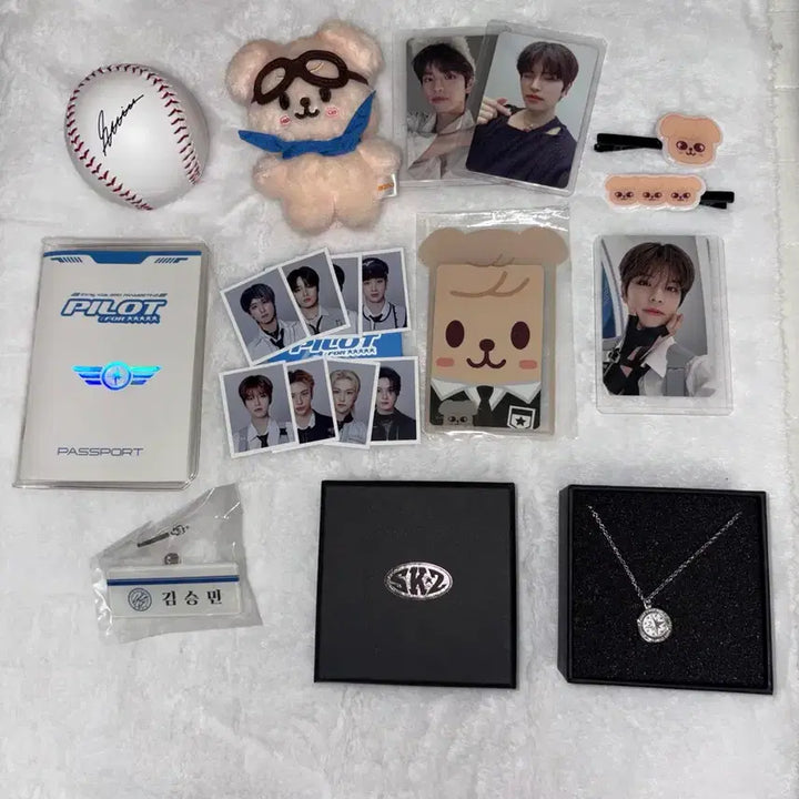 [BUNJANG] Stray Kids Seungmin Pilot Perfume Necklace Photocard Bundle / 스트레이키즈 스키즈 파일럿 승민 일괄 퍼핌 목걸이 증사 포카 머리핀 포카홀더 여권 명찰