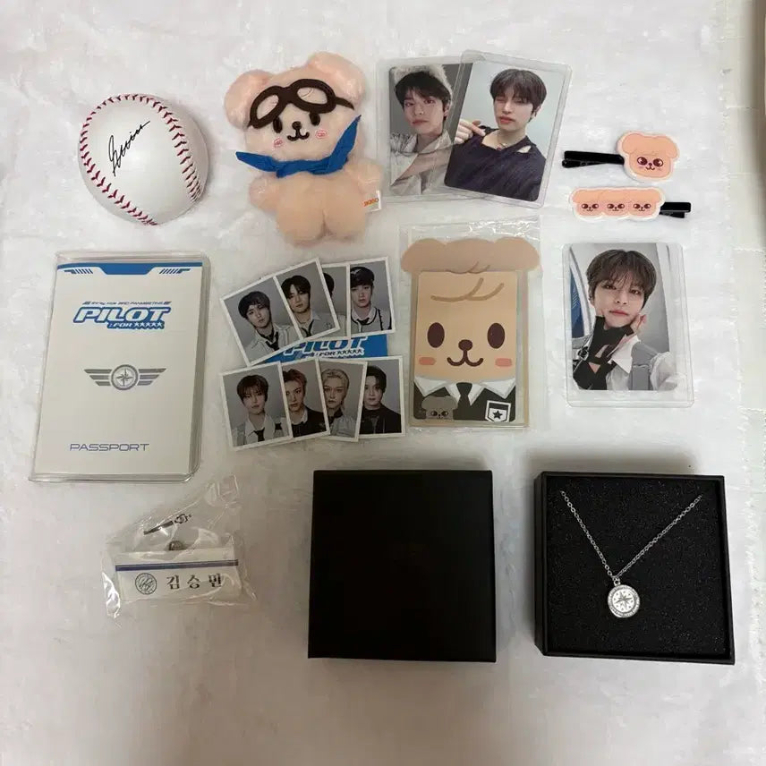 [BUNJANG] Stray Kids Seungmin Pilot Perfume Necklace Photocard Bundle / 스트레이키즈 스키즈 파일럿 승민 일괄 퍼핌 목걸이 증사 포카 머리핀 포카홀더 여권 명찰