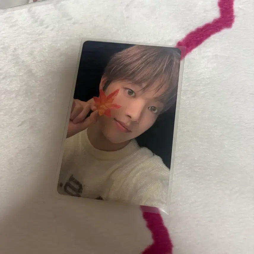 [BUNJANG] ENHYPEN Sunoo J.Gooya Album Photocard / 앤팀 의주 쥬고야 앨범 포카 양도 판매