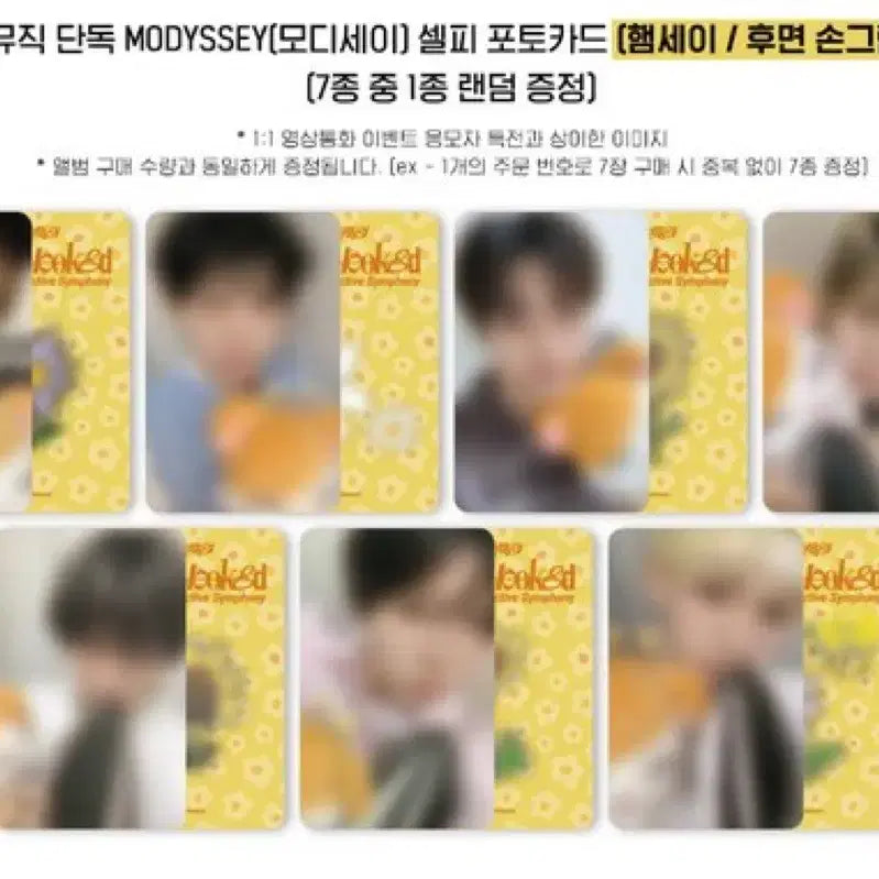 [BUNJANG] ModiSeay Apple Music Linlin Zhao Guangxu Photocard / 모디세이 애플뮤직 미공포 린린 자오광쉬 양도합니다