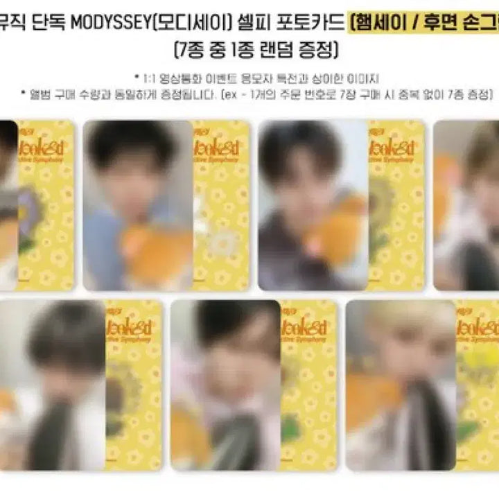 [BUNJANG] ModiSeay Apple Music Linlin Zhao Guangxu Photocard / 모디세이 애플뮤직 미공포 린린 자오광쉬 양도합니다