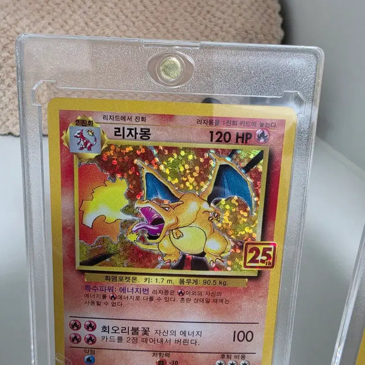 [BUNJANG] 25th Anniversary Pokémon Card Limited Edition Venusaur Charizard Blastoise Bundle Set / 25주년  포켓몬카드 한정판 이상해꽃 리자몽 거북왕