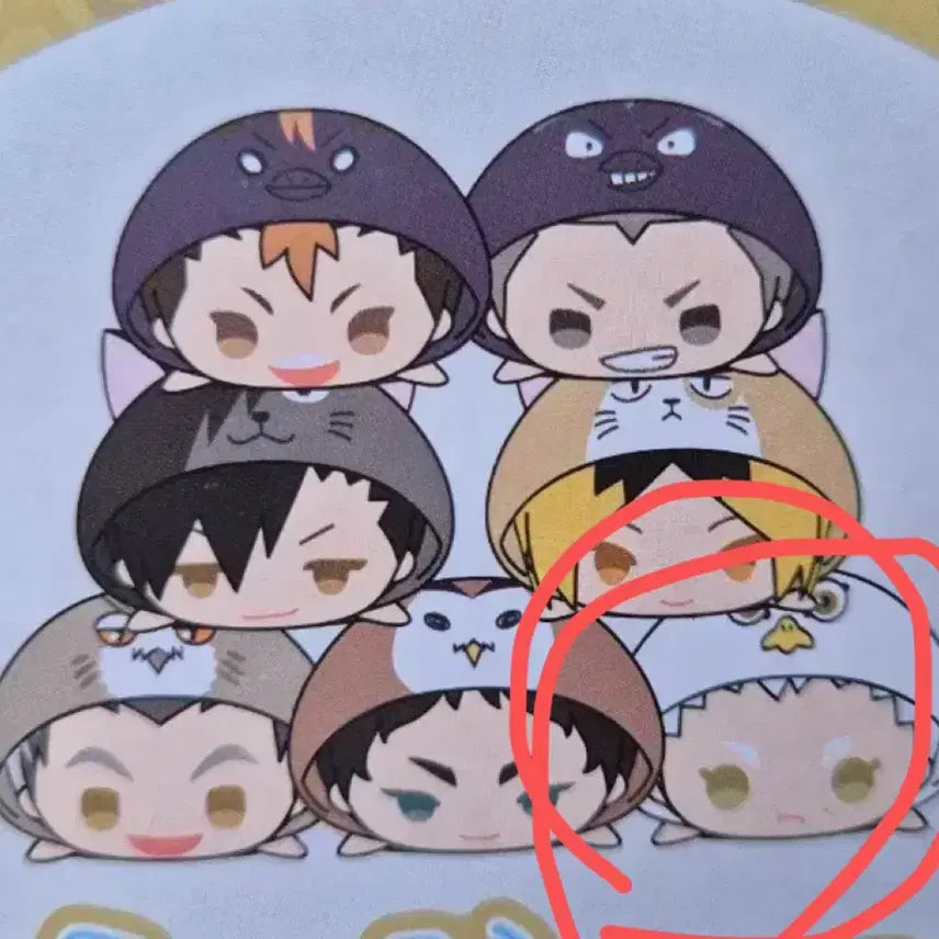 [BUNJANG] Haikyuu!! Hoshiumi Mochi Mochi Mascot / 하이큐 모찌모찌 마스코트 호시우미