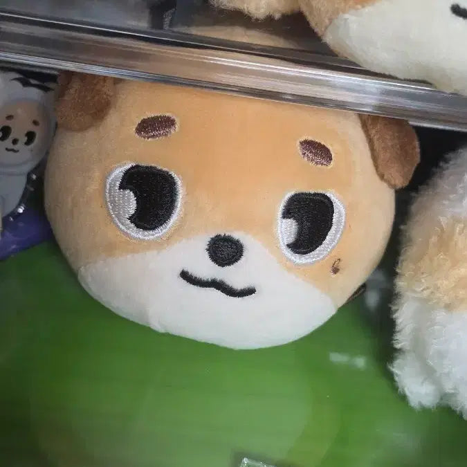 [BUNJANG] Day6 Denimals Stress Ball / 데니멀즈 스트레스볼 돈