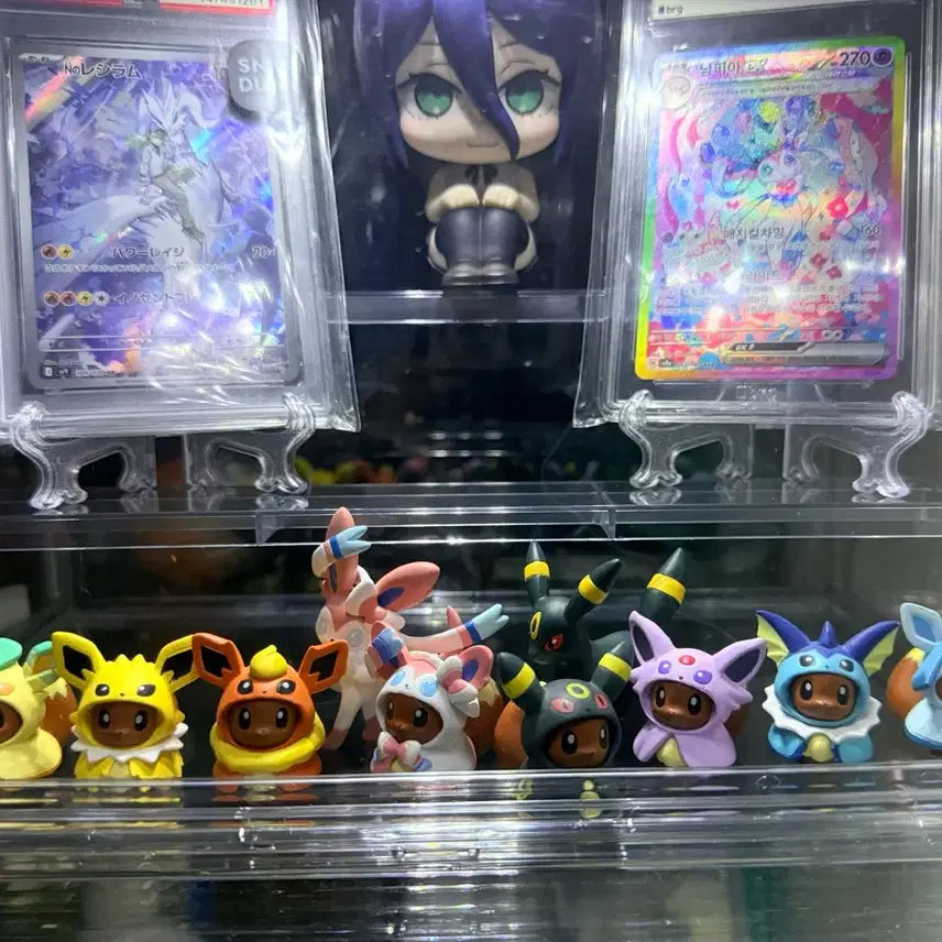 [BUNJANG] Pokemon Center Limited Edition Poncho Eevee Evolution Tree 8 Types Full Set / 포켓몬센터 한정판 판쵸 이브이 진화트리 8종 풀셋