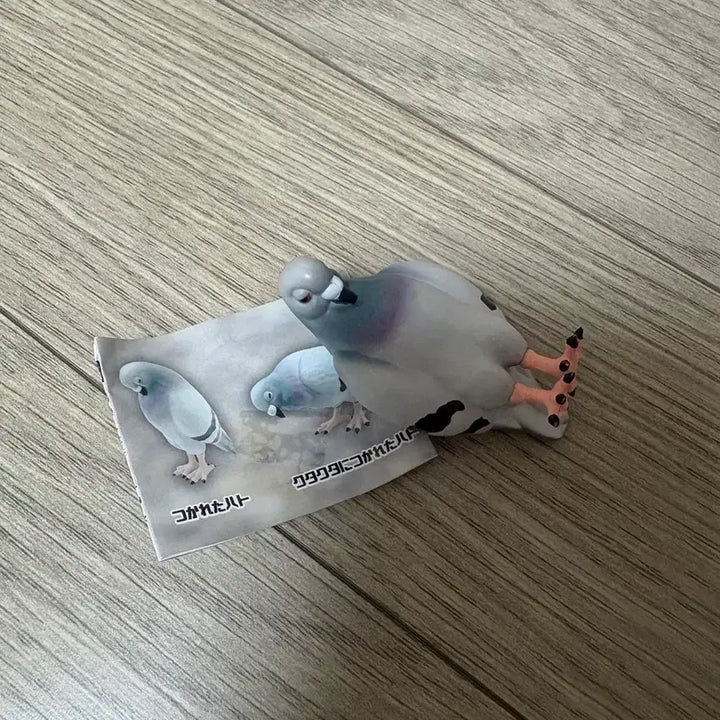 [BUNJANG] Exhausted Pigeon Gacha Figure / 지쳐버린 비둘기 가챠 피규어 판매