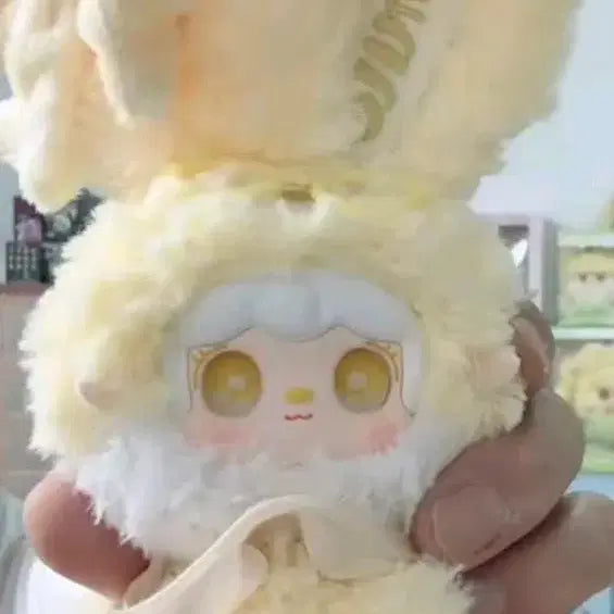 [BUNJANG] Yuki Rabbit "Jjonggeut Ear" Full Box / 신상 유키 래빗 쫑긋귀 풀박스 양도합니다