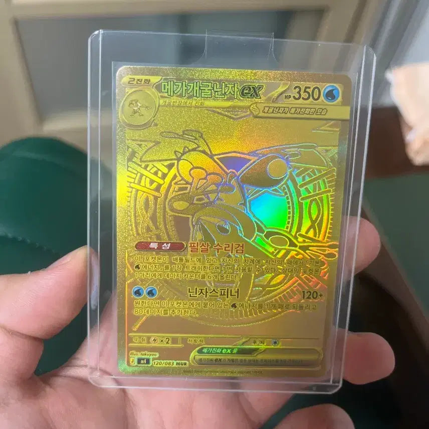 [BUNJANG] Mega Sceptile-EX / 메가개굴닌자ex mur  팝니다