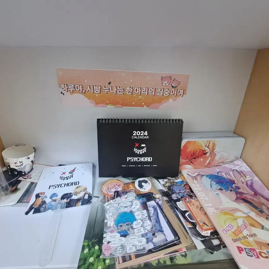 [BUNJANG] PSYCODE Bundle Set / 싸이코드 굿즈 일괄판매