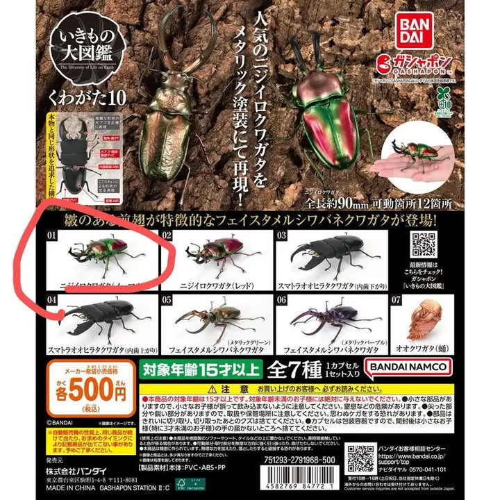 [BUNJANG] Creature Encyclopedia Stag Beetle Vol. 9 Mulinini Capsule Unsealed / 생물대도감 사슴벌레 9탄 뮤엘리니 캡슐개봉품 판매합니다.
