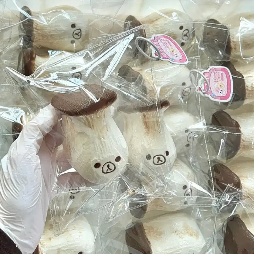 [BUNJANG] Mushroom Kuma Sealed / 버섯쿠마 미개봉새거