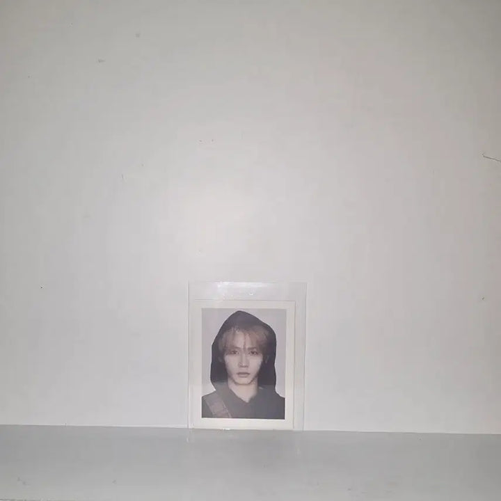 [BUNJANG] BOYNEXTDOOR Taesan Photocard / 보넥도 태산