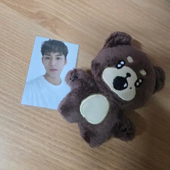 [BUNJANG] SEVENTEEN Mingyu Tanmingyu Photocard / 세븐틴 민규 탄밍구 양도