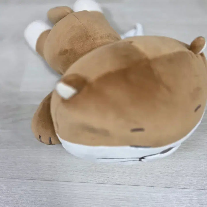[BUNJANG] BOYNEXTDOOR Darling Cushion / 보넥도(BOYNEXTDOOR) 공식 굿즈인 &