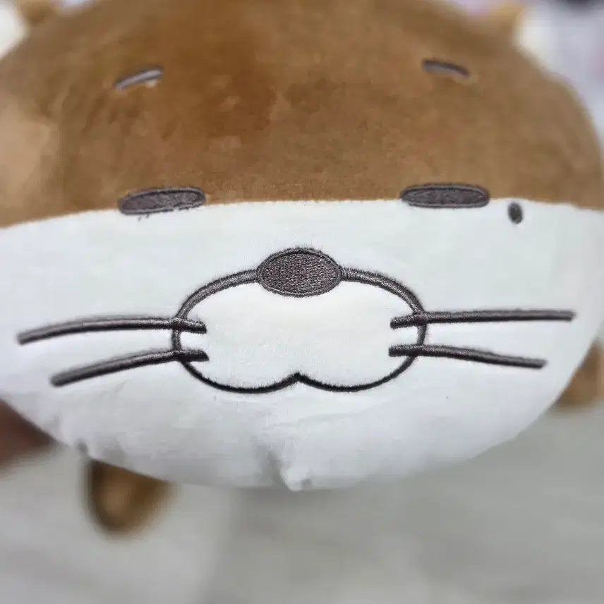 [BUNJANG] BOYNEXTDOOR Darling Cushion / 보넥도(BOYNEXTDOOR) 공식 굿즈인 &