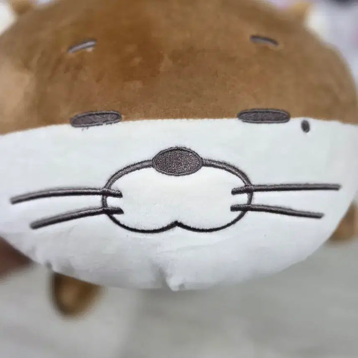 [BUNJANG] BOYNEXTDOOR Darling Cushion / 보넥도(BOYNEXTDOOR) 공식 굿즈인 &