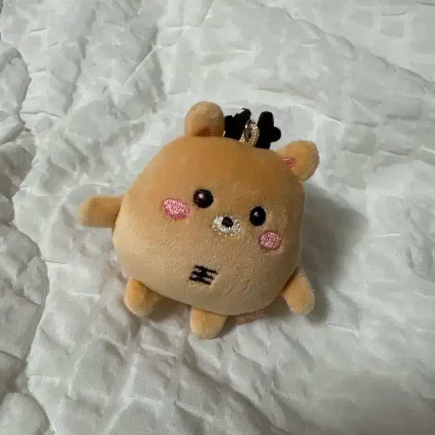 [BUNJANG] RIIZE URACUBE / 리라즈 우락밤